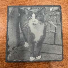 Custom engraved slate coaster featuring a cat portrait