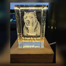 Custom engraved pet memorial crystal featuring a dog portrait